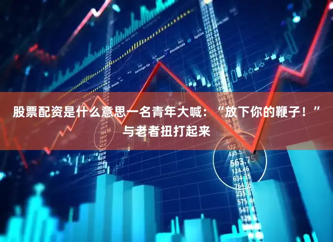 股票配资是什么意思一名青年大喊：“放下你的鞭子！”与老者扭打起来