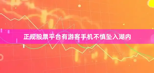 正规股票平台有游客手机不慎坠入湖内